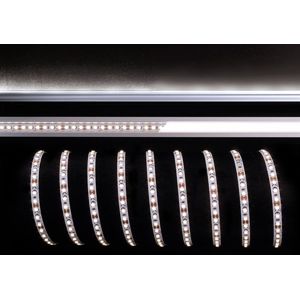 Light Impressions Deko-Light flexibilní LED pásek 3528-120-12V-4000K-5m-Nano 12V DC 36,00 W 4000 K 2400 lm 5000 mm 840170